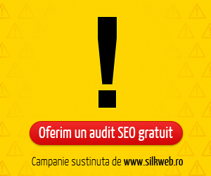 audit seo